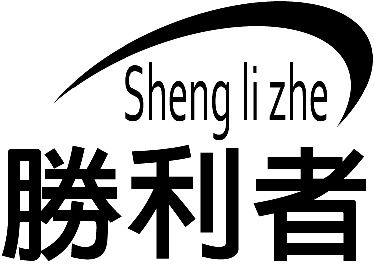 勝利者行車紀錄器